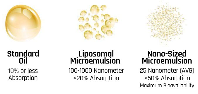 Graphic comparing oil, liposomal microemulsion and nano-sized microemulsions