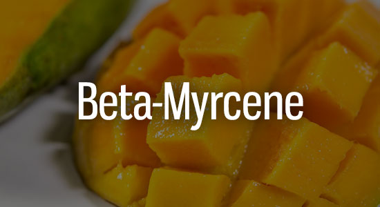 Beta-Myrcene Terpene Representation