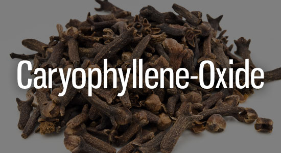 Caryophyllene-Oxide Terpene Representation