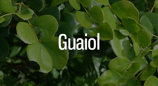 Guaiol Terpene Representation