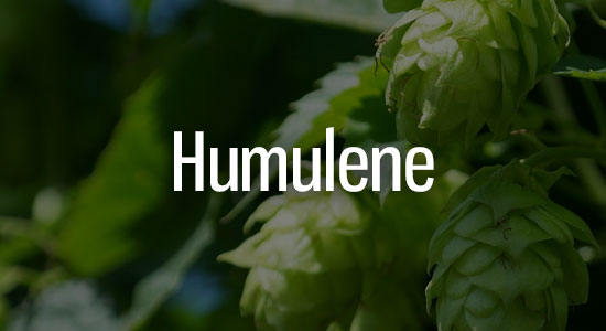 Humulene Terpene Representation