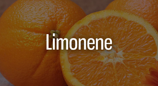 Limonene Terpene Representation