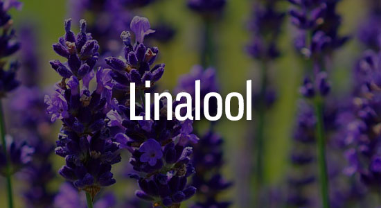 Linalool Terpene Representation