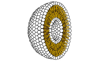 Liposome Example