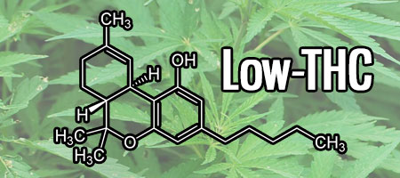 Low-THC Hemp