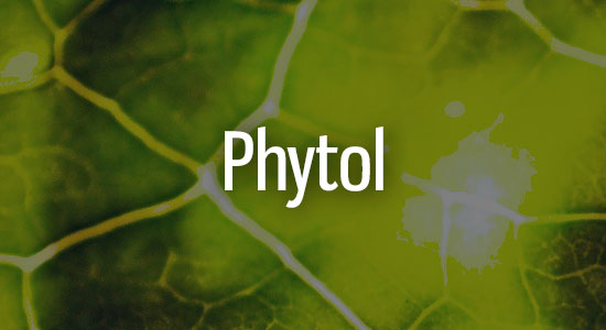 Phytol Terpene Representation
