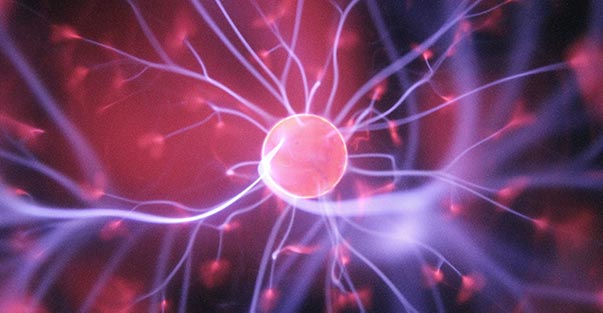 Endocannabinoid system representation